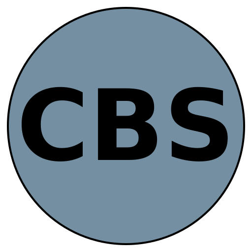 Career Blueprint Solutions